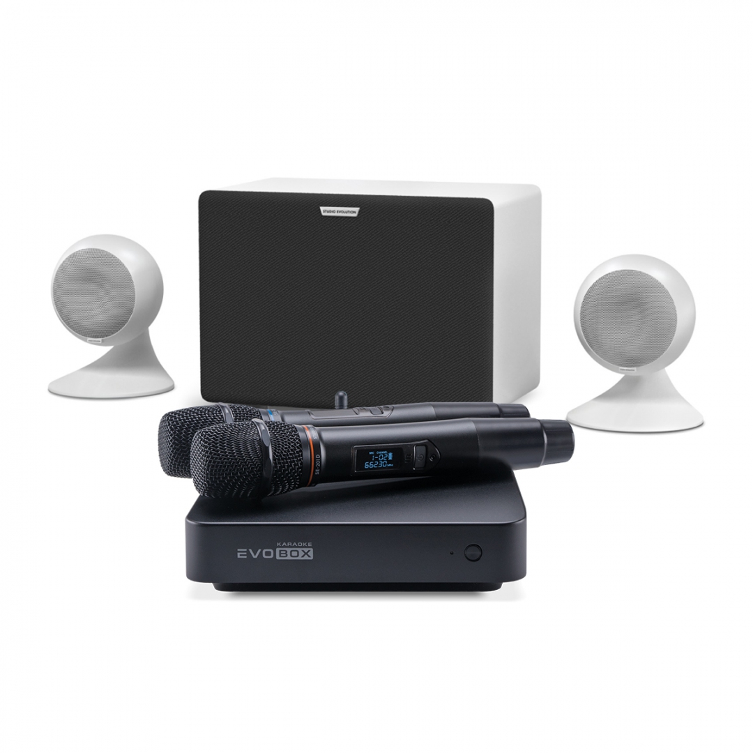 караоке-комплект EVOBOX Classic + EvoSound Sphere 2.1 в Ишимбае