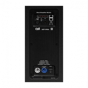 Активная акустическая система AST-310A в Ишимбае