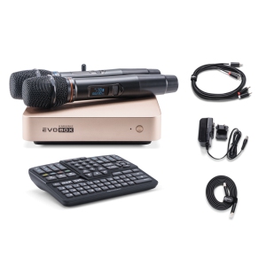EVOBOX Classic караоке-система для дома в Ишимбае